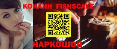 дмт Аргун