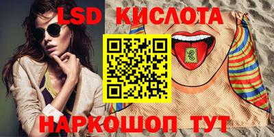 дмт Аргун