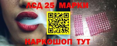 дмт Аргун