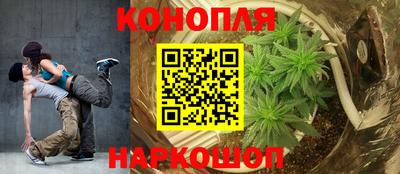 PSILOCYBIN Апшеронск