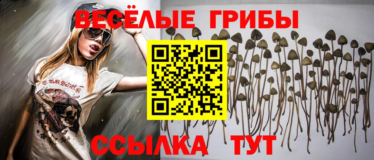 сколько стоит  Вход с VPN  Батайск  Галлюциногенные грибы ЛСД 
